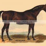 Melbourne 24x36 Giclee thumbnail-1