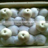 2015 New Crop Fresh Emerald Pear With Good Price thumbnail-5