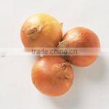 Online Buy Wholesale Yellow Onion From China Jinxiang Factory