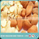 Organic Debittered Blanched Apricot Kernel Slices From Dongbei