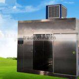 Germany Technology Frozen Meat Defrosting Equipment