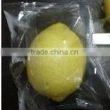 Multi Food Pellet Low Cost Fruit and Vegetable Packing Machine +8618637188608 thumbnail-2