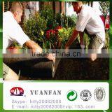 PP Spunbond Non Woven Black Mulching Film/Weed Control Fabric/Black Ground Cover thumbnail-6