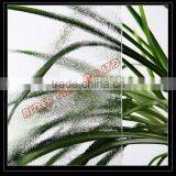 3/3.5/4/5/5.5mm CE & ISO Accredited Glass Panel With Pattern thumbnail-1