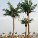 Palm Trees Canada is Popular Around the World Artificial Plastic Coconut Palm Tree thumbnail-1