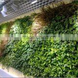 Artificial Green Wall Plant Wall thumbnail-5