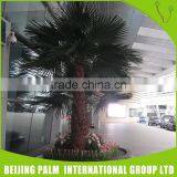 Decoration Home Indoor Lighted Washington Palm Tree Artificial Plants thumbnail-3