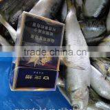 Sardinops Melanosticta 50-80G Frozen Sardines thumbnail-1