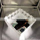 Plastic Fruit Tray With Lace Brim in Square Shape thumbnail-6