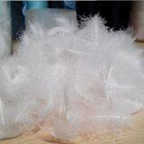 Feather and Down thumbnail-2