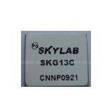 Standar GPS Module SKG13C