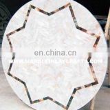 Natural White Sea Shell Mother Of Pearl Table Top