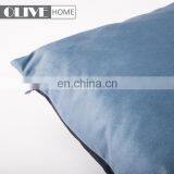 2018 New Chinese Style Gouache Paint Photo Printed Velvet Cushion Cover With Gold Stamping thumbnail-3