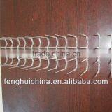 Whole Plastic Bird Spike