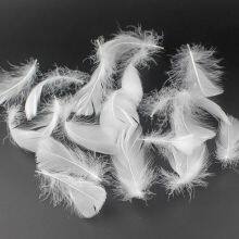 Luxury 2-4CM White Goose Feather Pillow thumbnail-4