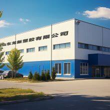 Ningjin Longxin Plastic Co., Ltd. company overview - view 1 thumbnail