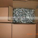 Competitive Price Umbrella Head Roofing Nails Directly Manufacturer thumbnail-5