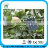 Garden Decoration Natural Slate Garden Plant Marker 6pcs/sets thumbnail-1