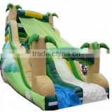 new products 2014 China water park slides for sale/giant inflatable water slide for adult