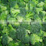 Frozen Broccoli thumbnail-1