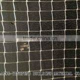 Plastic Bird Mesh thumbnail-3