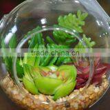 Wholesale Glass Globe Hanging Succulent Plants Terrarium Geometric thumbnail-3