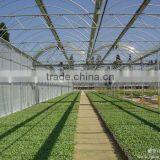 Greenhouse Film thumbnail-4