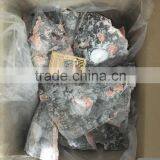 Tuna Head thumbnail-1