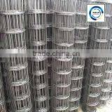 High Quality Products Electric Galvanized Welded Wire Mesh