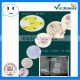 Nature Biological Micro Glass Slides With Clear and Complete Tissue for School Teaching
