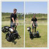 CHIC GOLF no Pollution Electric Golf Cart Competitive Price1000W thumbnail-6