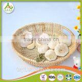 Fresh Garlic Natural thumbnail-6