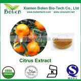 Citrus Aurantium Extract 90%-98% Hesperetin thumbnail-1