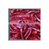 Dehydrated Hot Bullet Chilli thumbnail-2