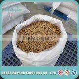 2016 New Crop Organic Apricot Nuts & Kernels thumbnail-1
