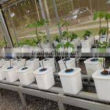 Lightweight Expanded Clay Aggregates/clay Pebbles/leca/growing Mediums thumbnail-2