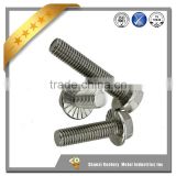 Flange head hex bolts with hex nuts,washer