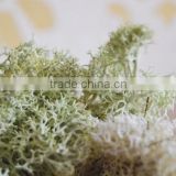 home decor christmas decor artificial flowers reindeer moss