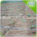 Drip Hose for Hungary Agricultural Land Irrigation thumbnail-2