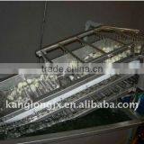 Fruit Washing Machine