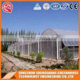 China Plastic Greenhouse for Plant Tomato and Flowers thumbnail-1