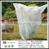 Anti-UV White pp Non Woven Fabrici Used in Plant Cover thumbnail-3