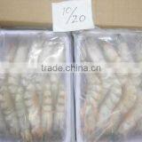 HOSO Sea White Shrimps thumbnail-3
