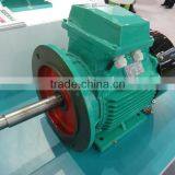 Cast Iron IE1 Three Phase Electric Motor thumbnail-5