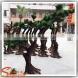 Plastic Artificial Old Bonsai Tree Plants for Price Sale thumbnail-6