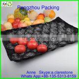 Pengzhou Plastic Mushroom Tray thumbnail-3