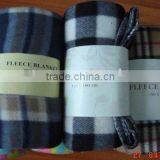 Picnic Using, Printing Polar Fleece Blanket