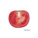 Sell Tomato Paste thumbnail-1