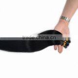 Fast Shipping Cheap Hair Extension Natural Popular Human European I Tip Hair Extension thumbnail-6