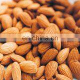 Wholesale Almonds - American Almonds/ Almond Kernels thumbnail-1